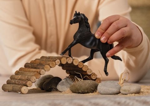 Rabicano Arap Aygırı