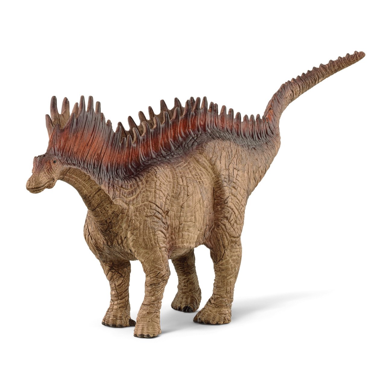 Amargazorus
