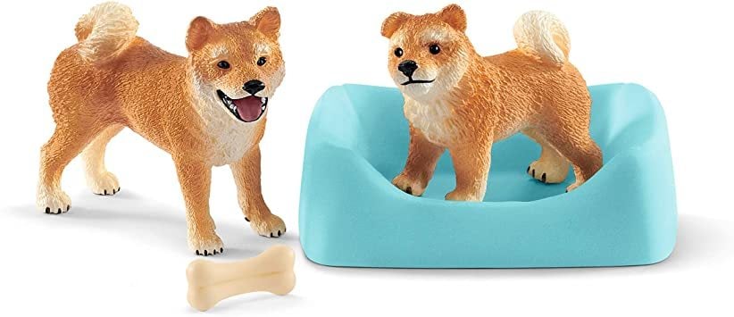 Shiba Inu