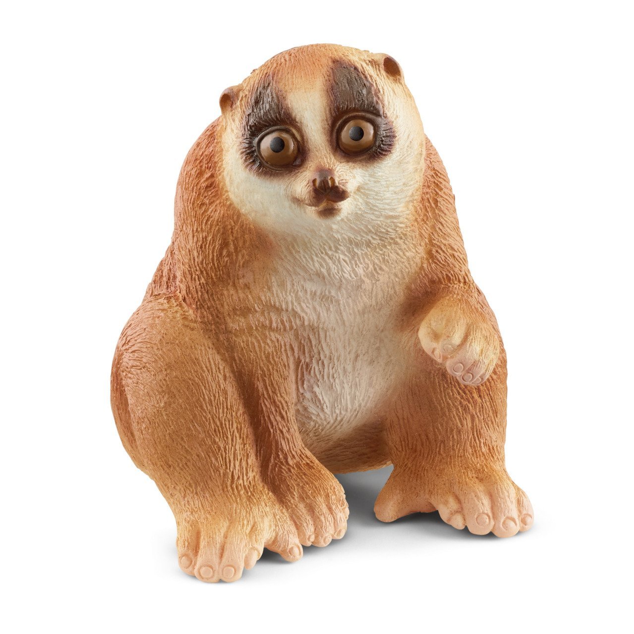 Yavaş Loris