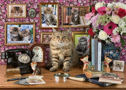 1000p Puzzle Cute Kitty