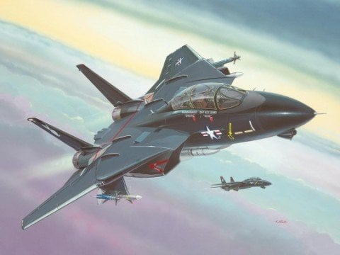 Revell F-14A Tomcat ''Black Bunny''-1:144 Olcek-4029