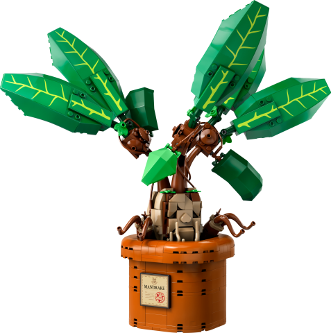 LEGO® Harry Potter™ Adamotu Bitkisi Oyuncağı, Sihirli Hediye 76433