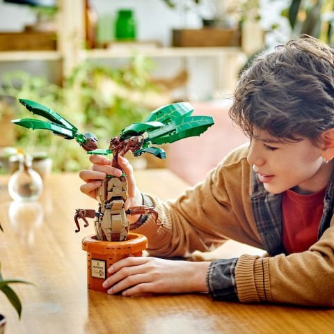 LEGO® Harry Potter™ Adamotu Bitkisi Oyuncağı, Sihirli Hediye 76433