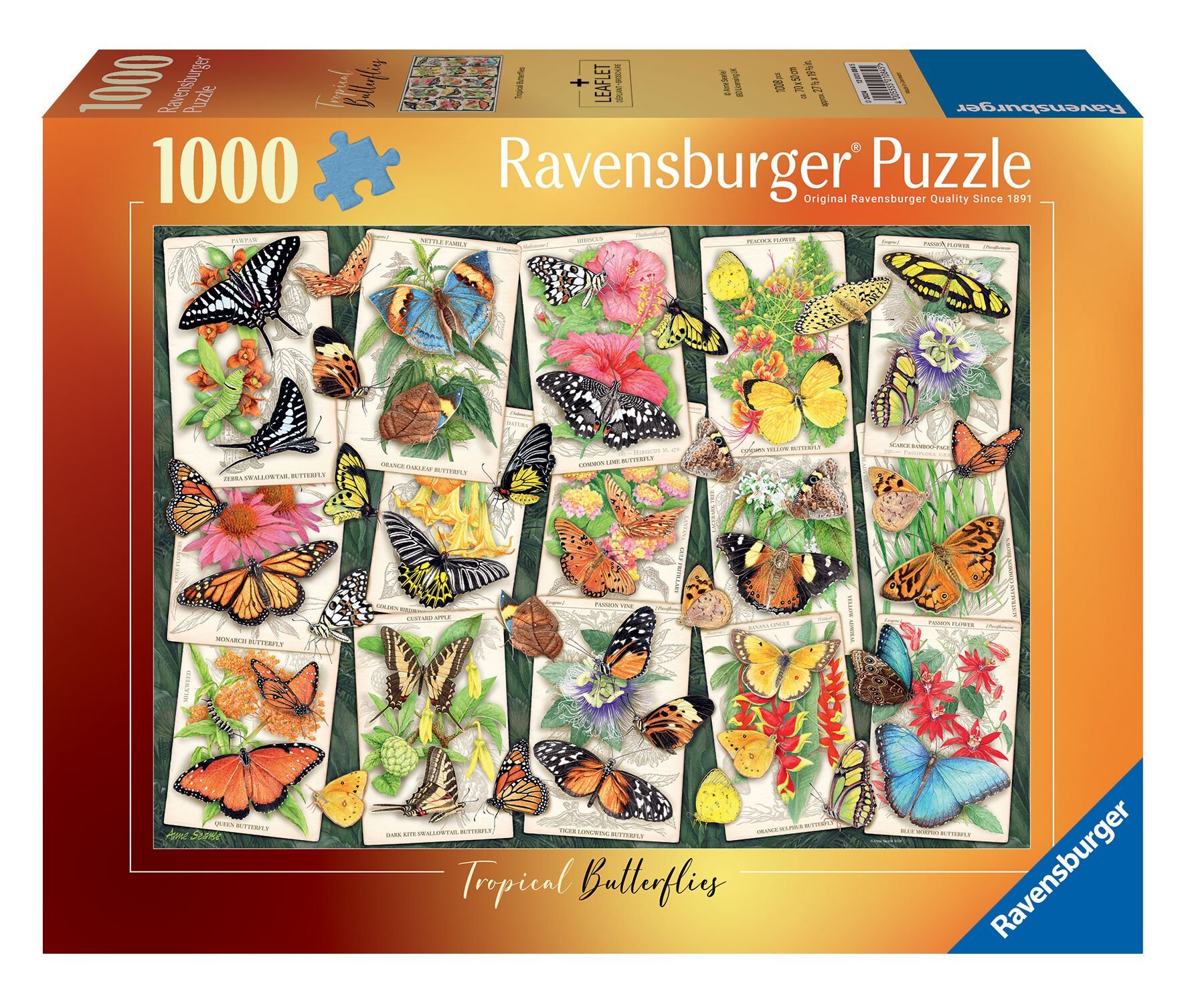 1000 Parça Puzzle Tropik Kelebekler