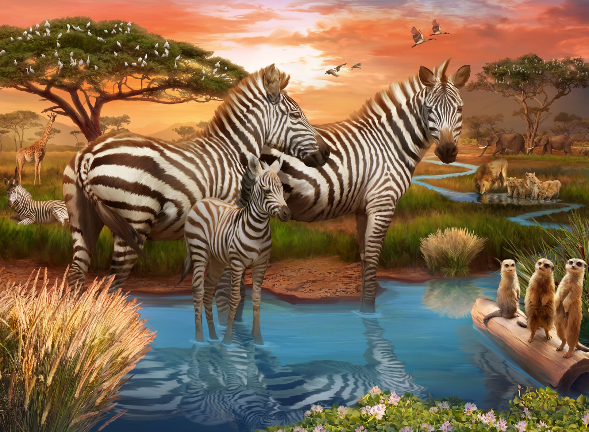 500p Puzzle Zebralar