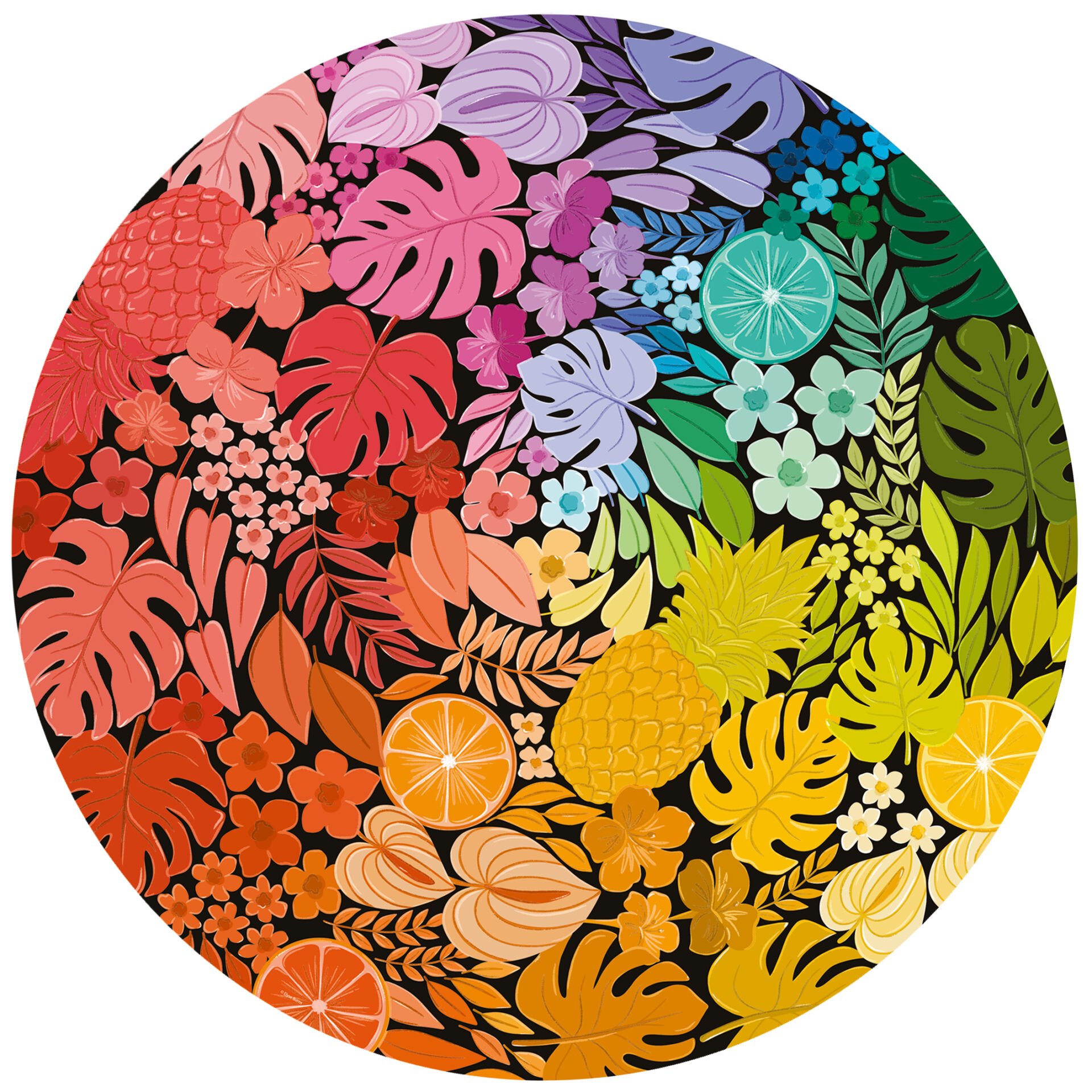 500p Puzzle Tropik