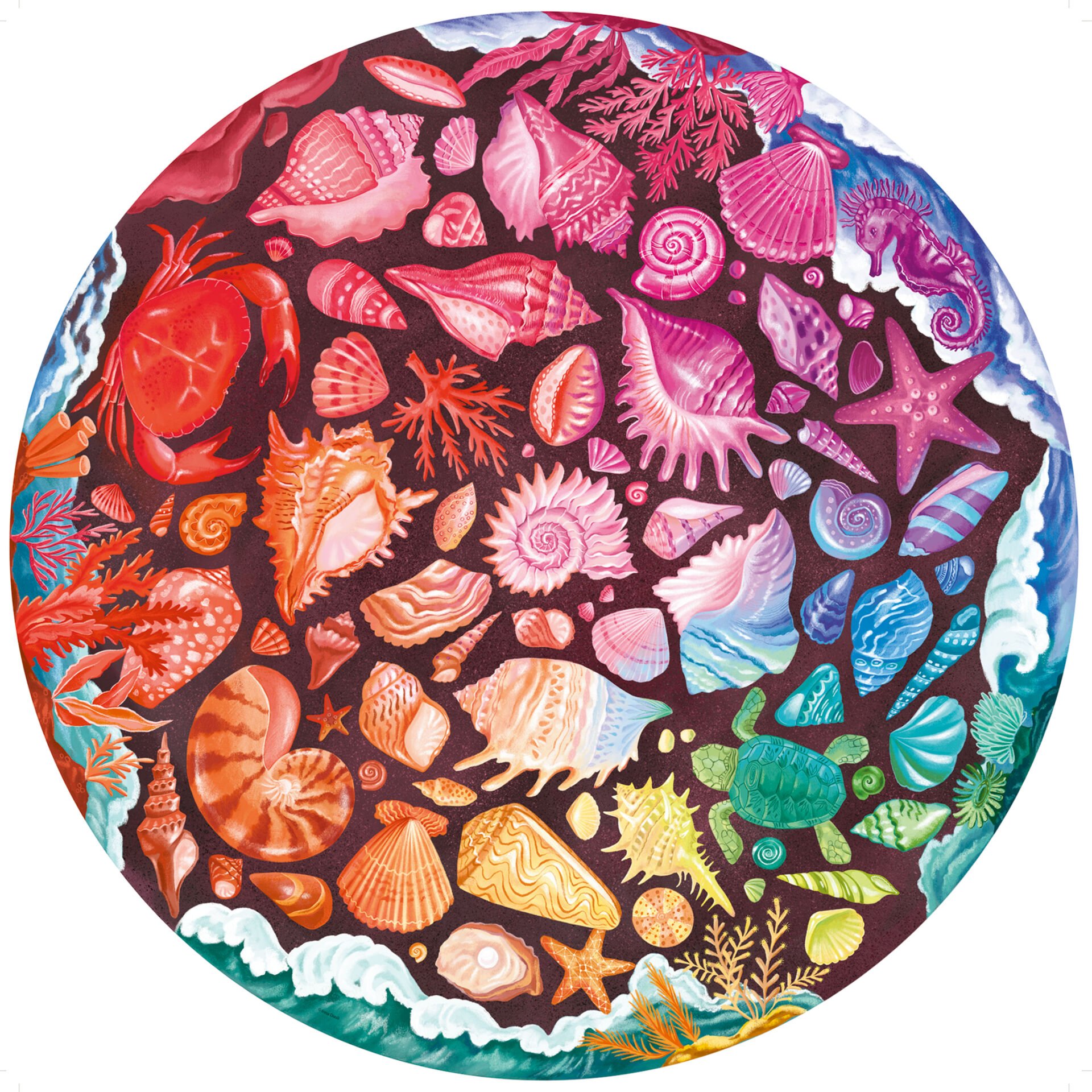 500 Parça Puzzle Deniz Kabukları