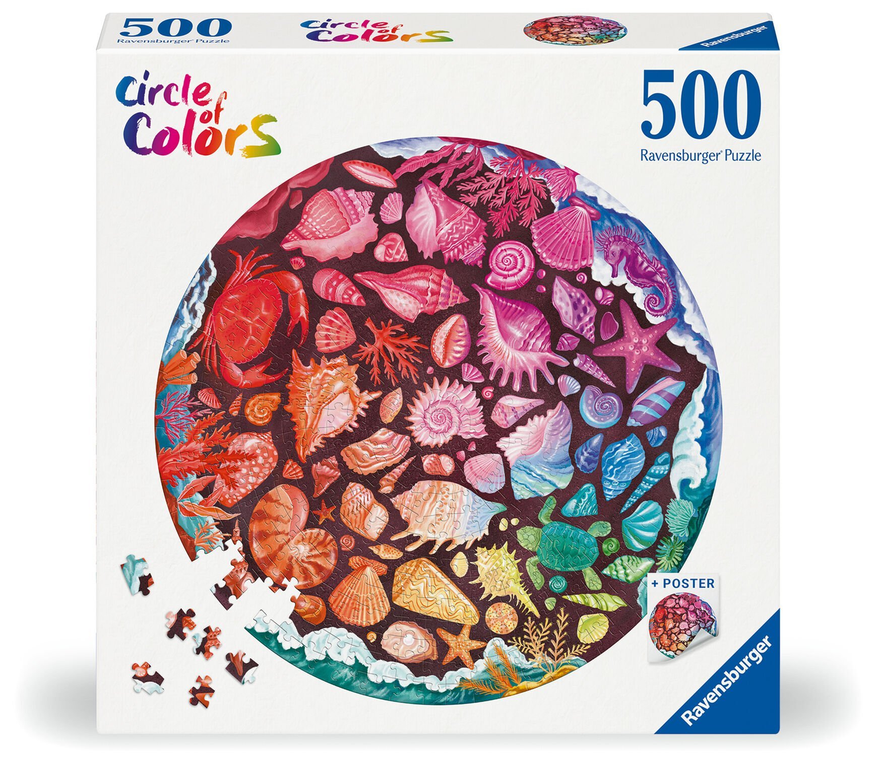500 Parça Puzzle Deniz Kabukları