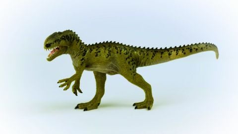Monolophosaurus