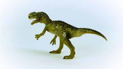 Monolophosaurus