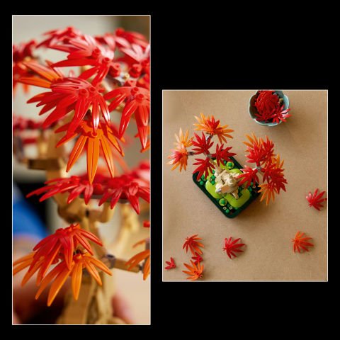 LEGO® Botanicals Japon Kırmızı Akçaağaç Bonsai Ağacı 10348