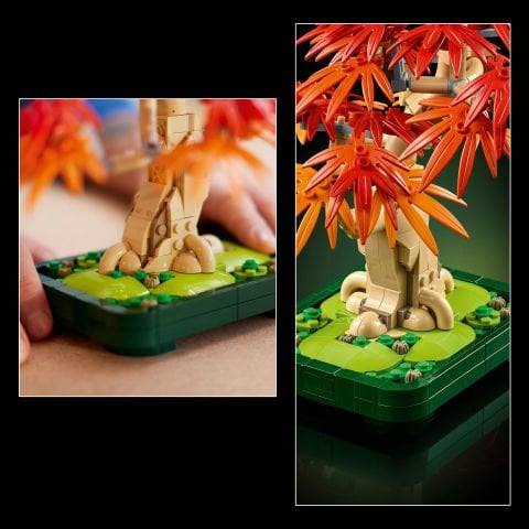 LEGO® Botanicals Japon Kırmızı Akçaağaç Bonsai Ağacı 10348