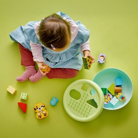 LEGO® DUPLO® İlk Şekil Ayırıcı: Köpek Evi Küçük Çocuklar için Eğitici Oyuncak 10441