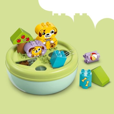 LEGO® DUPLO® İlk Şekil Ayırıcı: Köpek Evi Küçük Çocuklar için Eğitici Oyuncak 10441