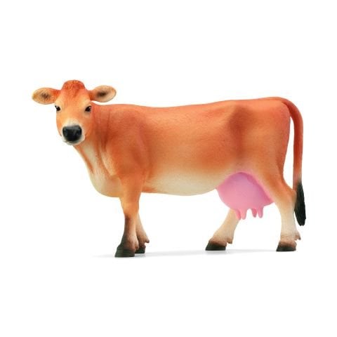 Jersey İnek