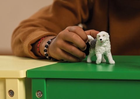 İngiliz Çoban Köpeği