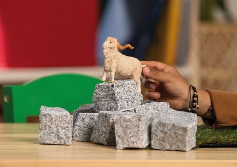 Angora Keçisi