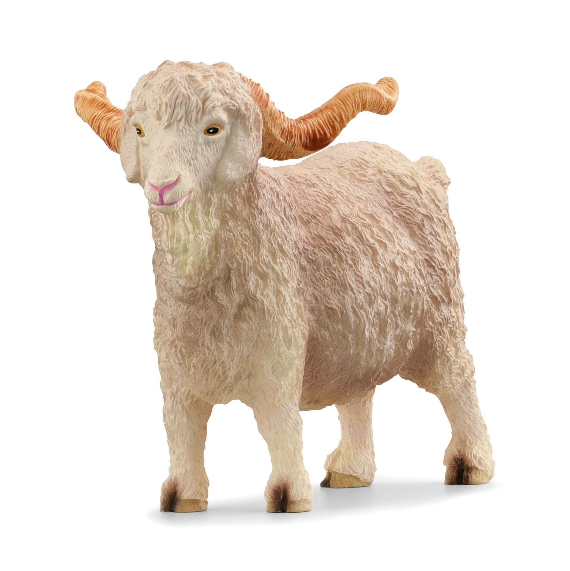 Angora Keçisi