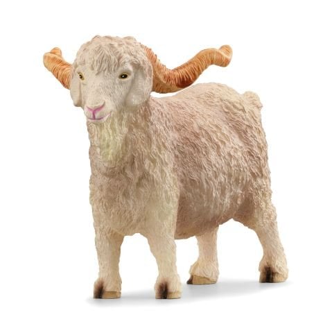 Angora Keçisi