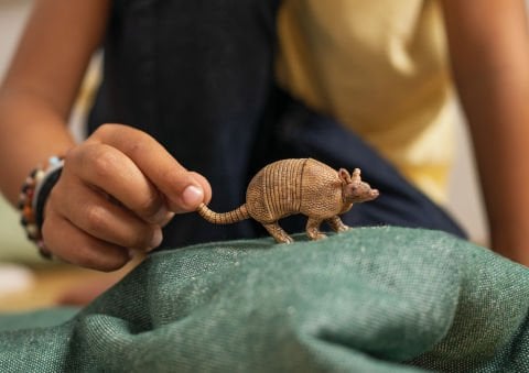 Armadillo