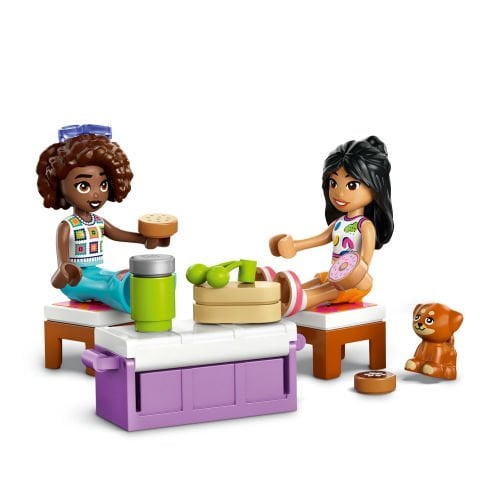 LEGO® Friends Arkadaşlık Seyahat Arabası Yapım Seti 42659
