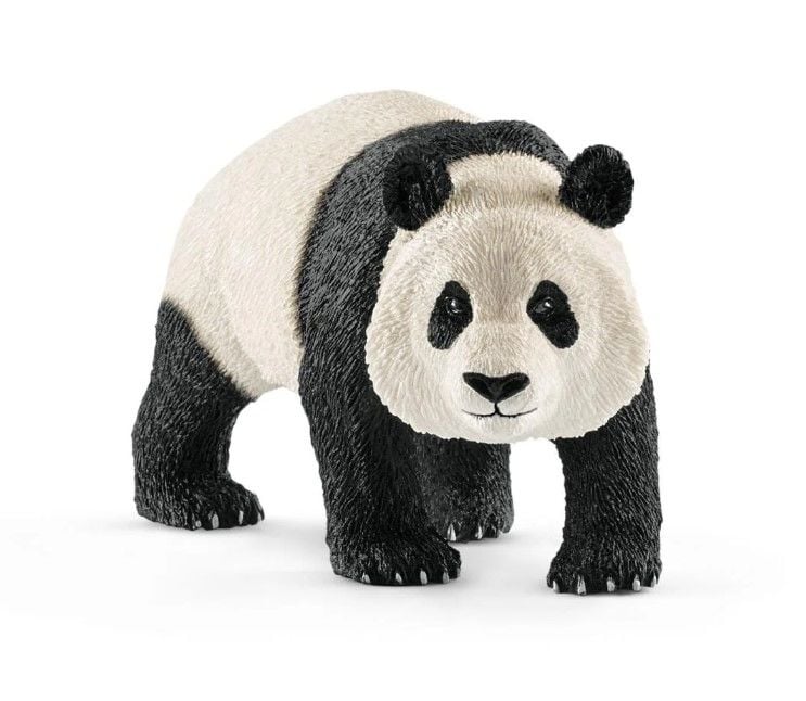 Dev Panda