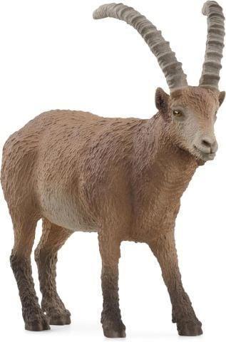 Oğlak