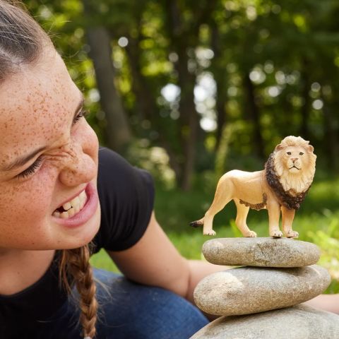Erkek Aslan