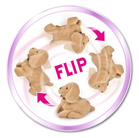 Simba CCL Salto Puppy