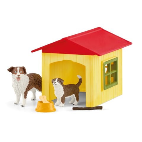 Köpek Evi