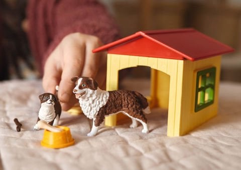 Köpek Evi