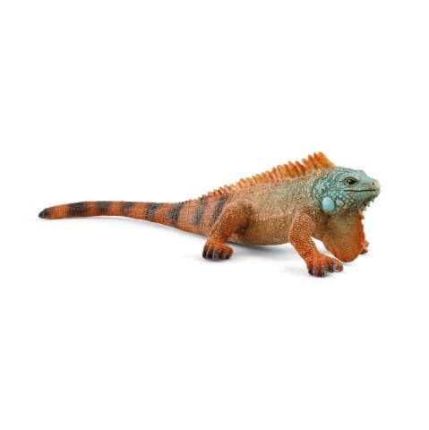 İguana