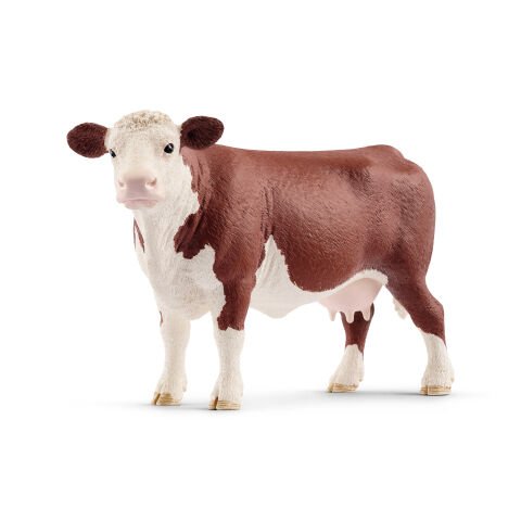 Hereford İnek