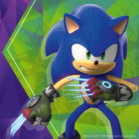 3x49p Puzzle Sonic