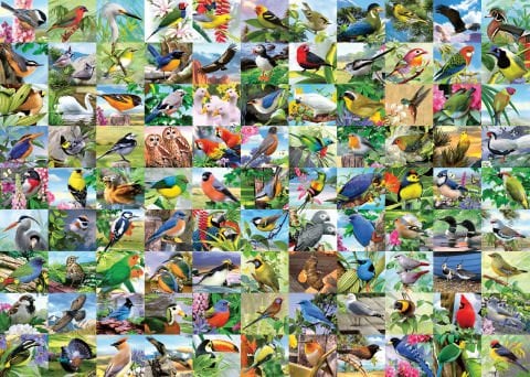 300p Puzzle Kuşlar