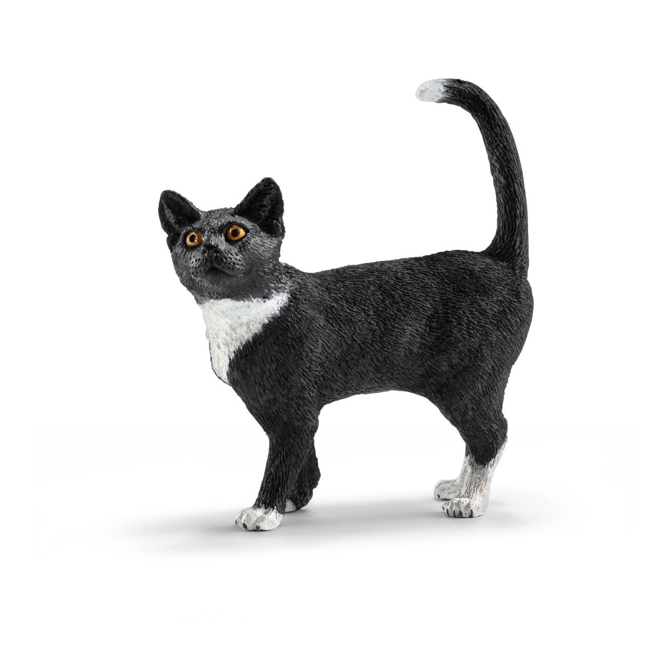 Ayakta Kedi