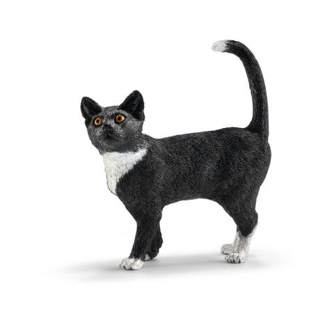 Ayakta Kedi