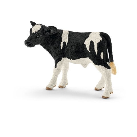 Holstein Buzağı