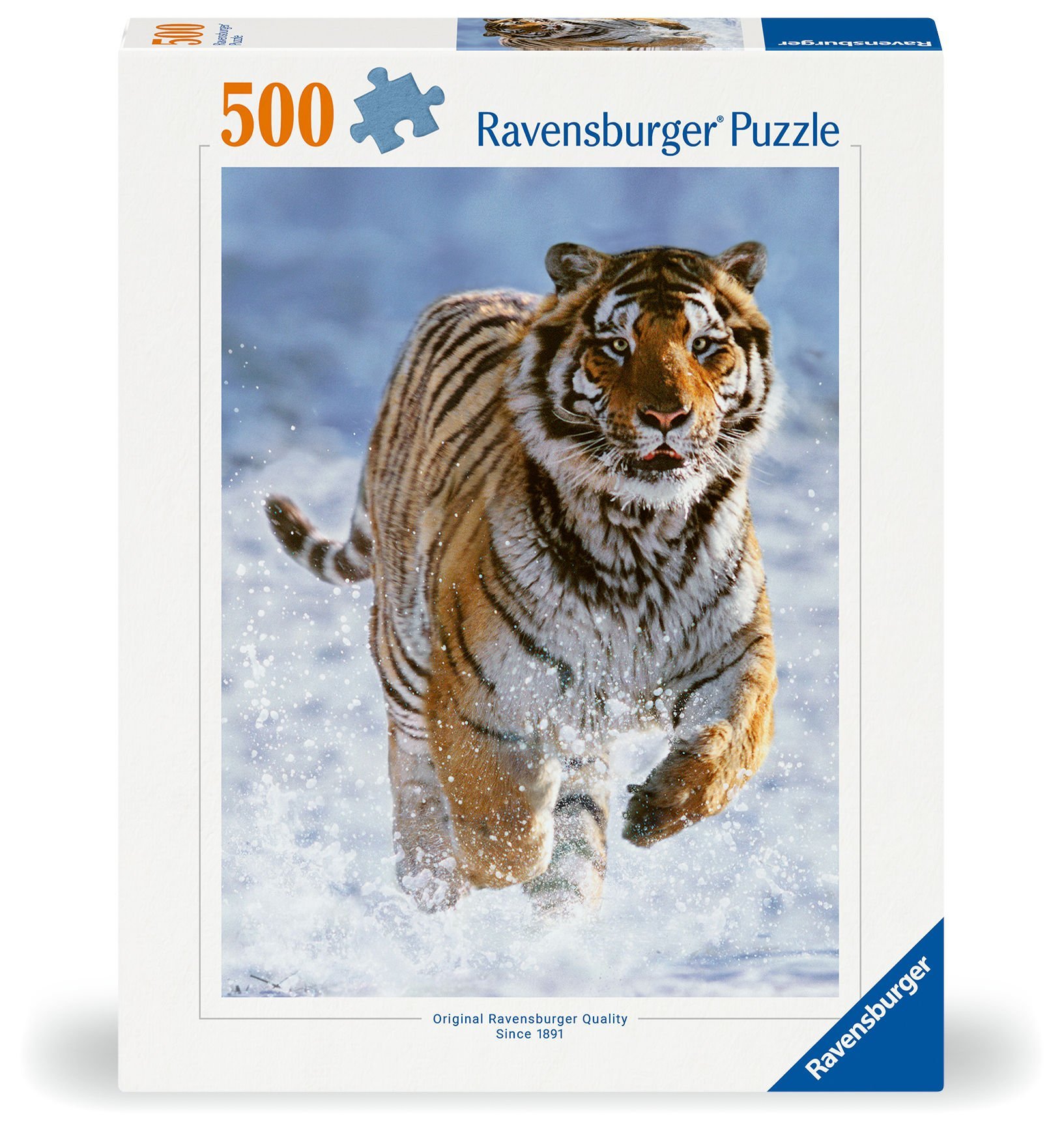 500p Puzzle Kaplan
