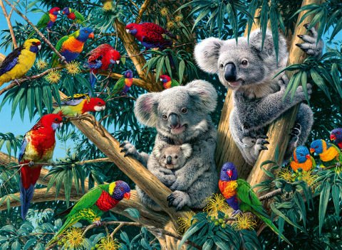 500p Puzzle Koalalar