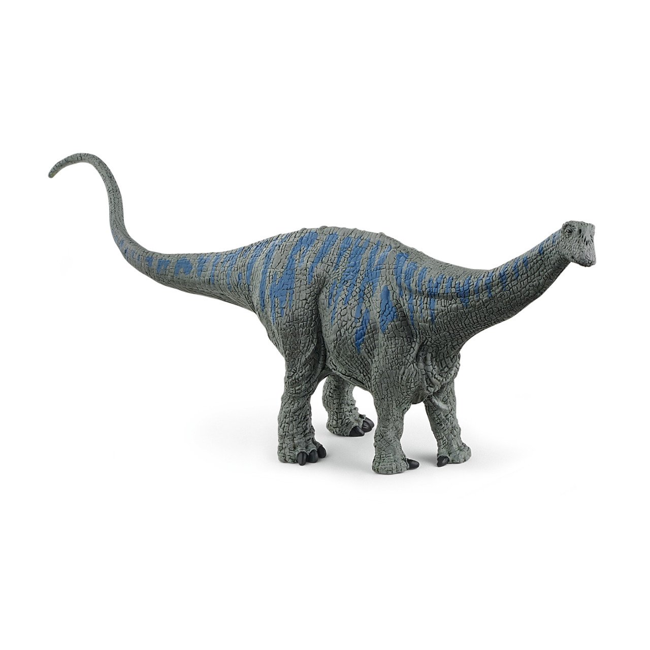 Brontozorus
