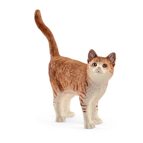 Kedi