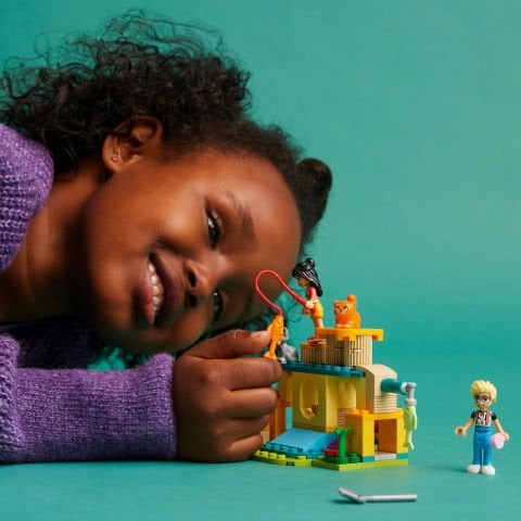 LEGO® Friends Kedi Oyun Parkı Macerası 42612