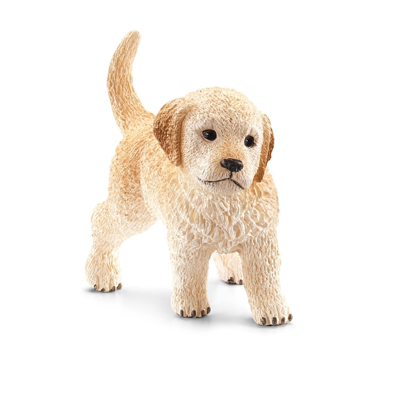 Yavru Golden Retriever