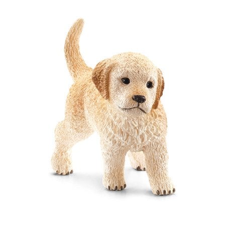 Yavru Golden Retriever
