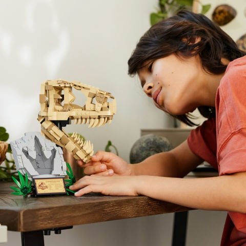 LEGO® Jurassic World™ Dinozor Fosilleri: T. rex Kafatası 76964