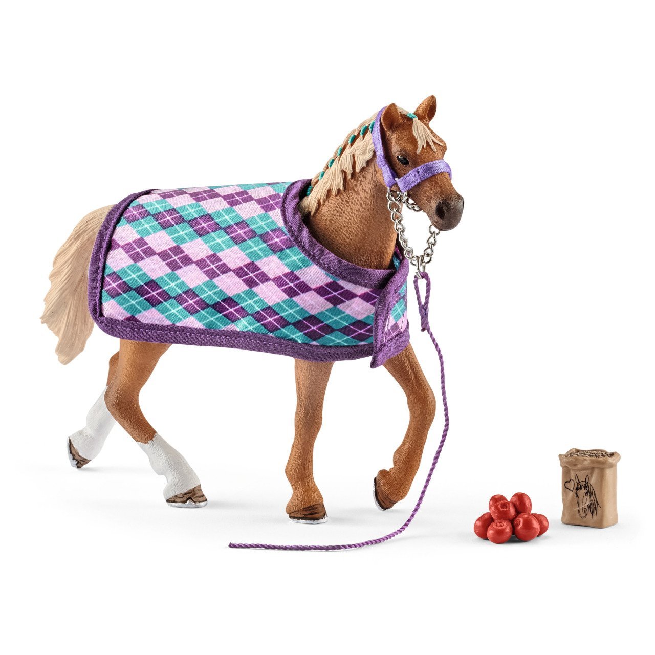 Thoroughbred Seti
