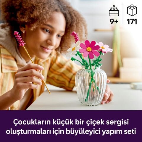 LEGO® Botanicals Kozmos Çiçekleri 11514