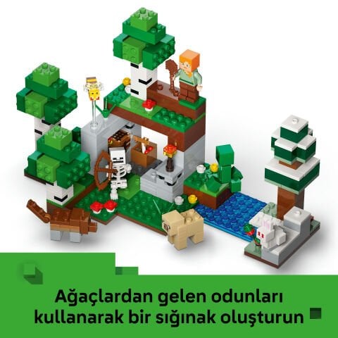 LEGO® Minecraft® İlk Gece Macerası 21593